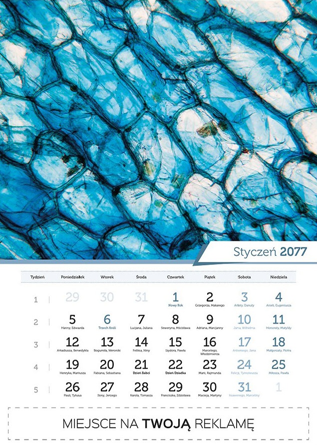 Szablon 02